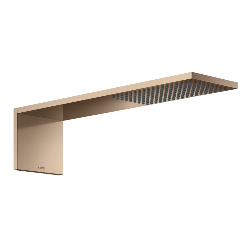 HANSGROHE 12592300 Kopfbrausemodul 110/220