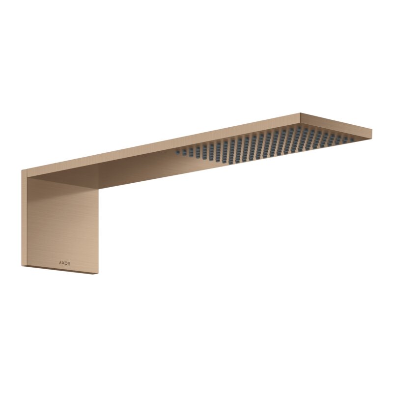 HANSGROHE 12592310 Kopfbrausemodul 110/220