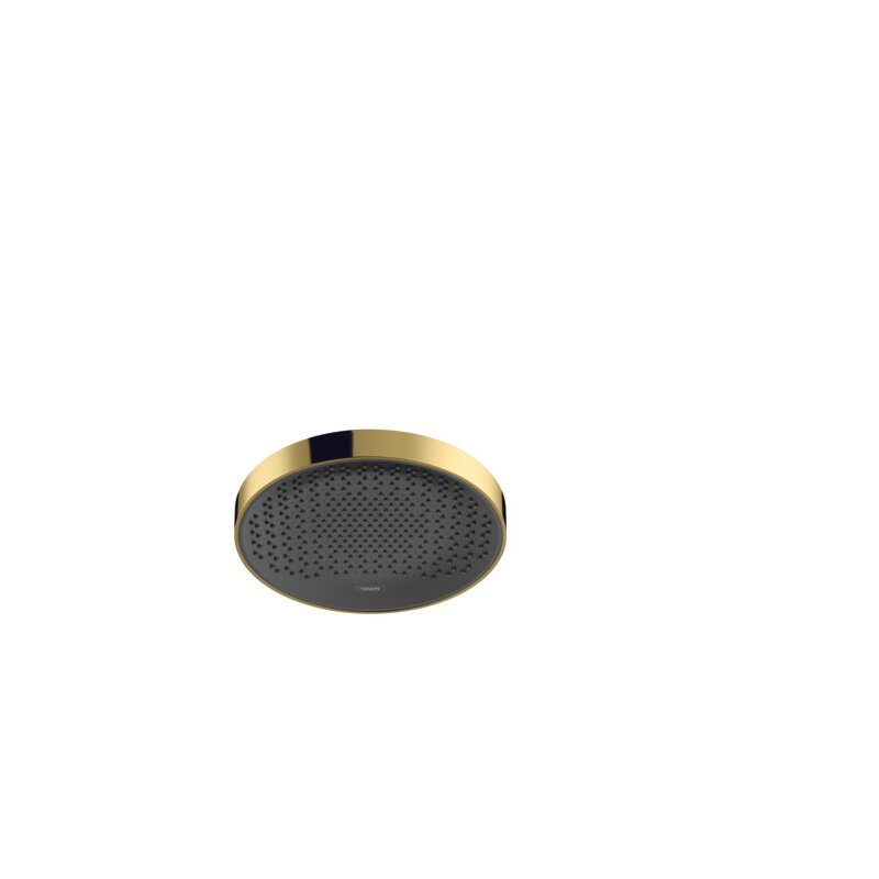 HANSGROHE 26231990 Kopfbrause Rainfinity 360 1jet