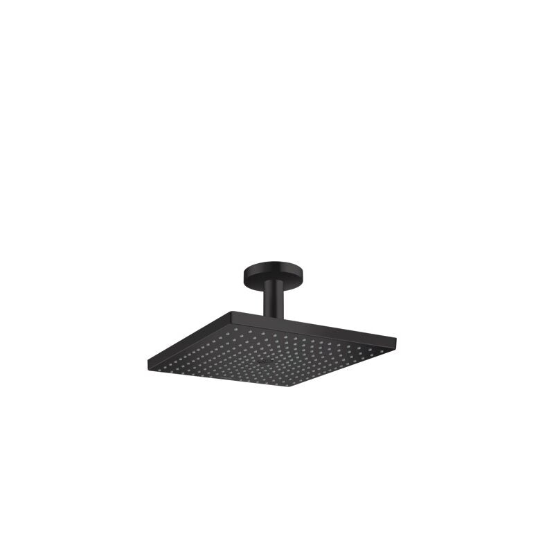 HANSGROHE 26250670 Kopfbrause Raindance E 300 1jet