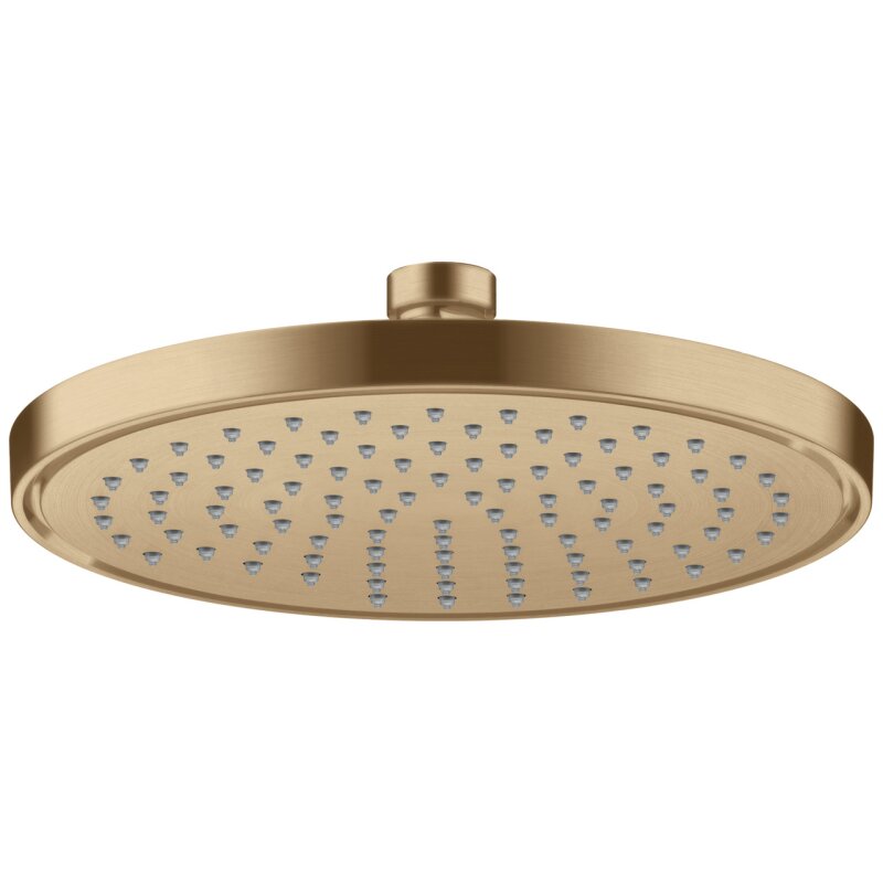 HANSGROHE 35388140 Kopfbrause 220 1jet EcoSmart+