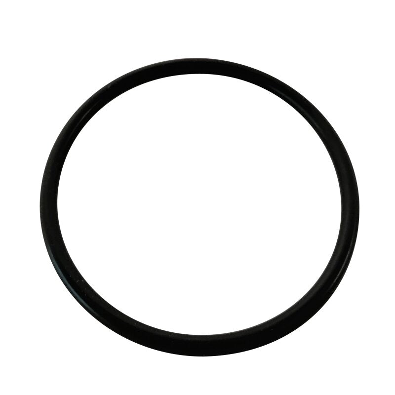 Hansgrohe 95508000 O-Ring 48x3mm