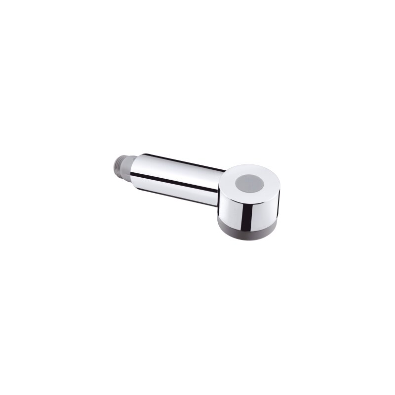 Hansgrohe 97999000 Ausziehbrause Talis S chrom