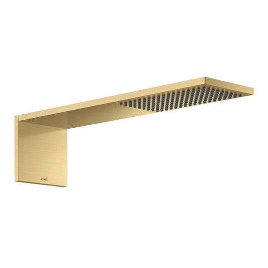 HANSGROHE 12592250 Kopfbrausemodul 110/220