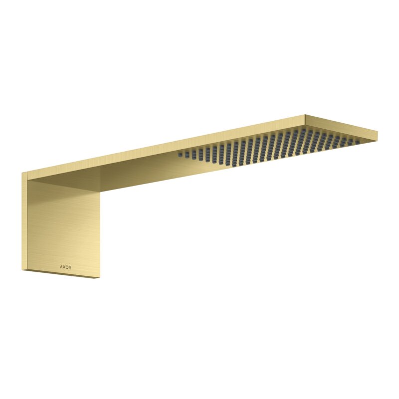HANSGROHE 12592950 Kopfbrausemodul 110/220