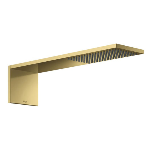 HANSGROHE 12592990 Kopfbrausemodul 110/220