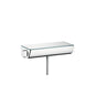 Hansgrohe 13111000 Thermostat Ecostat Select