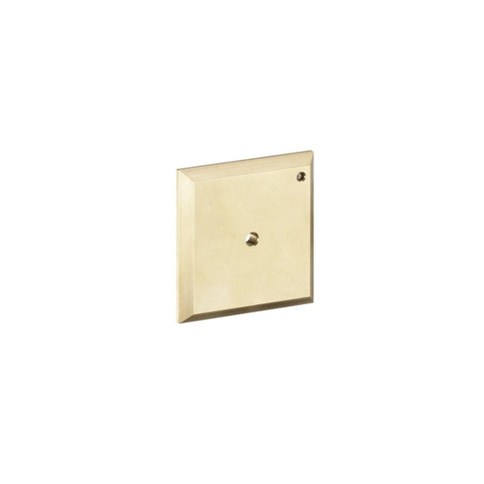 Hansgrohe 15956000 Spülplatte iControl manuell