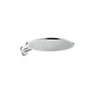 Hansgrohe 26034820 Kopfbrause 350 1jet Axor BN