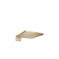 HANSGROHE 26238140 Kopfbrause Raindance E 300 1jet