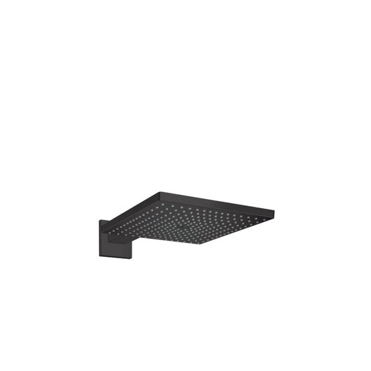 HANSGROHE 26238670 Kopfbrause Raindance E 300 1jet