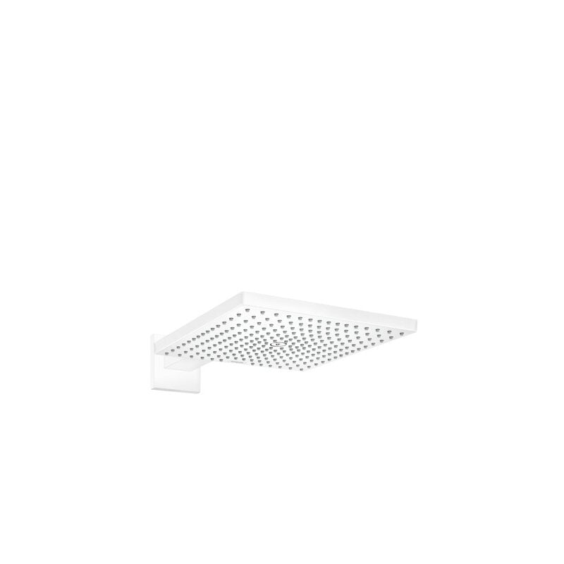HANSGROHE 26238700 Kopfbrause Raindance E 300 1jet