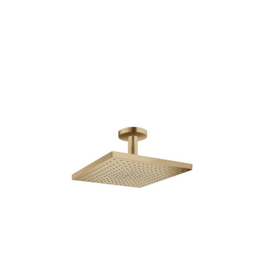 HANSGROHE 26250140 Kopfbrause Raindance E 300 1jet