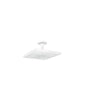HANSGROHE 26250700 Kopfbrause Raindance E 300 1jet