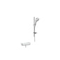 Hansgrohe 27036000 Brausenkombi Raindance Select 150/