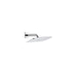 Hansgrohe 27371000 Kopfbrause Raindance E 360 Air 1jet