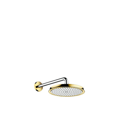 HANSGROHE 27424090 Tellerkopfbrause Raindance Classic