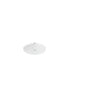HANSGROHE 27623700 Kopfbrause Raindance S 240 1jet