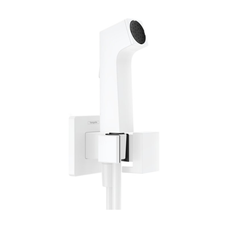 HANSGROHE 29231700 Handbrause Bidette E f.Kaltwasser