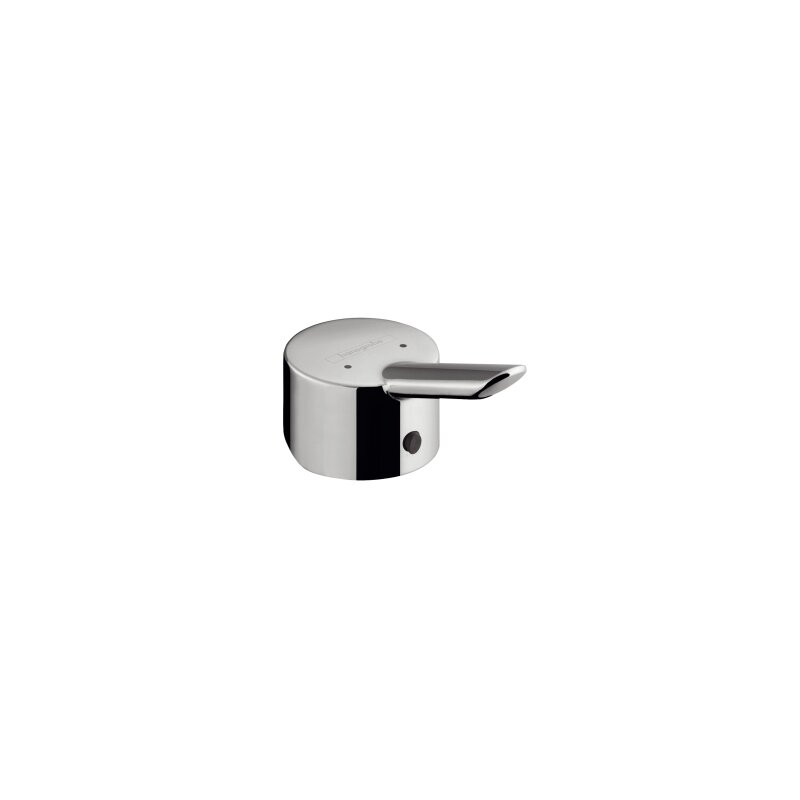 Hansgrohe 31793000 Griff Focus S chrom