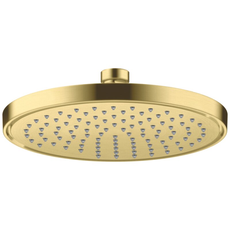 HANSGROHE 35383950 Kopfbrause 220 1jet EcoSmart