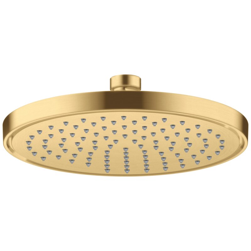 HANSGROHE 35388250 Kopfbrause 220 1jet EcoSmart+