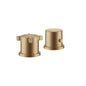 HANSGROHE 36412140 2-Loch Thermostat Axor Citterio E
