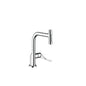 Hansgrohe 39862800 Spültischmischer 230 Select 2jet