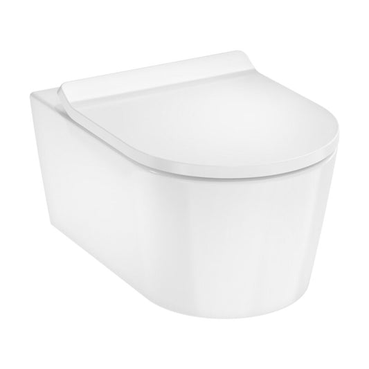 HANSGROHE 62025450 Wand WCSet EluPura S 540x360mm o.SPR