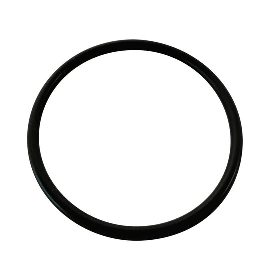 Hansgrohe 95508000 O-Ring 48x3mm